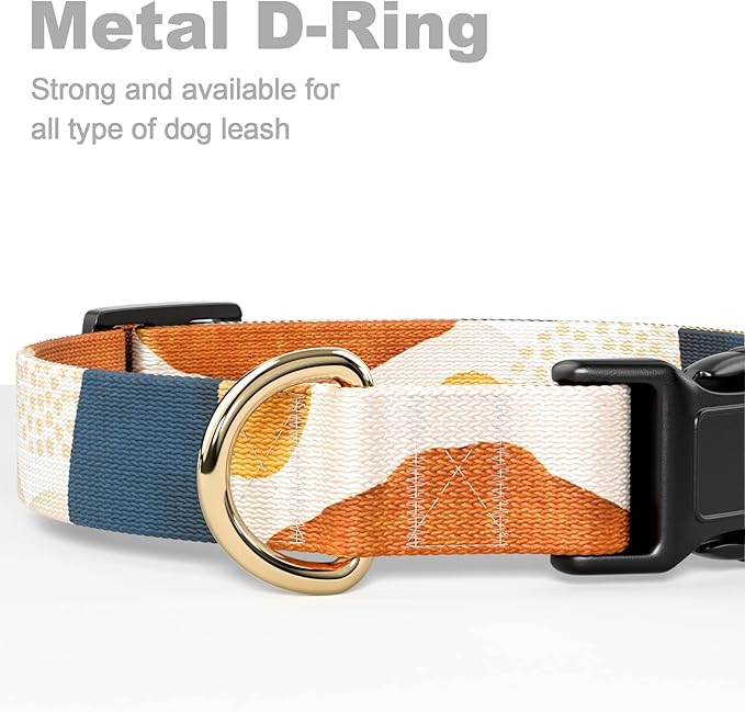 Rnivvi Dog Collar for Small Dogs, Cute Heavy Duty Adjustable Puppy Collar with Quick Release Buckle for Boy Girl & Female, Pet Accessories for Walking Running, S Length 3/4" Width, Abstract Art