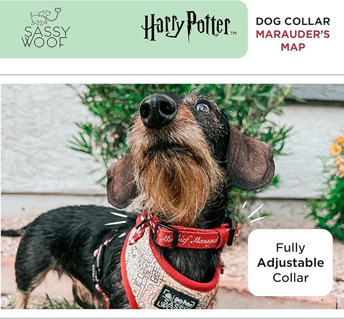 Sassy Woof Dog Collar Harry Potter™ Marauder's Map - L, Adjustable, Durable, Comfortable and Stylish Pet Accessories for Large Dogs - Officially Licensed