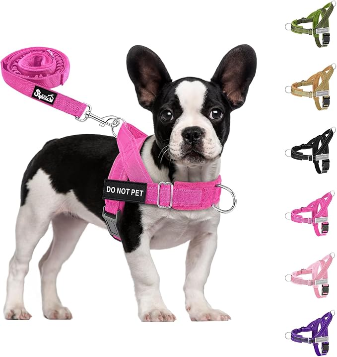 SlowTon No Pull Dog Harness - Heavy Duty Dog Harness and Leash Set for Medium Large Dogs, Reflective Tactical Harness with Soft Padded and Front Clip for Easy Walk and Training (Fuchsia S)