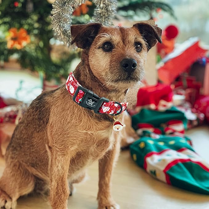 Elegant littlle Tail Christmas Dog Collar, Red Pet Collars Soft Cotton Winter Dog Collar with Quick Release Buckle Pet Puppy Collars for Small Medium Large Dogs
