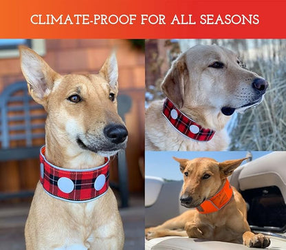 SPOT THE DOG! Reflective Dog Collar - Adjustable Pet Collars, Safe, Durable, Comfortable Dog Walking Accessories for Small Dog, Hunting Dog, Puppy, Boy, Girl Dog Collars (Blaze Orange, Red Plaid, S)