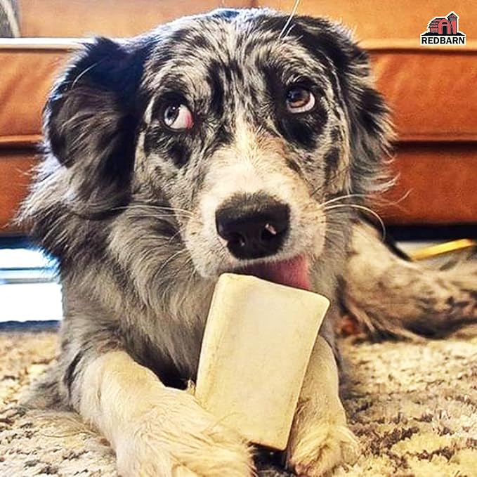 Redbarn Pet Products Large Filled Dog Bones, Peanut Butter Flavor - Long Lasting Stuffed Femur Chew Treat Made in USA - 4 Count - Packaging May Vary