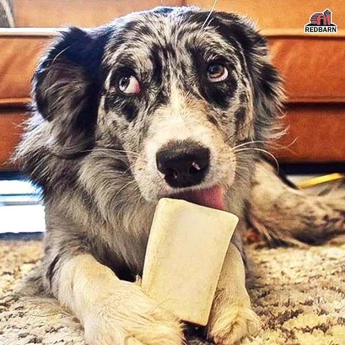 Redbarn Pet Products Small Filled Dog Bones, Peanut Butter Flavor - Long Lasting Stuffed Femur Chew Treat Made in USA - 4 Count - Packaging May Vary