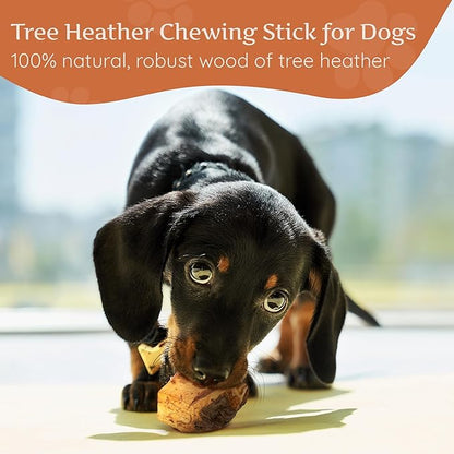 Wildfang® Briar Wood Chewing Root, Small - Splinter Free Wood Dog Chew Toys for Aggressive Chewer, Odorless Natural Teething Toys Dogs Dental Health, Healthy Gums (for Dogs Under 33 lbs), Pack of 1
