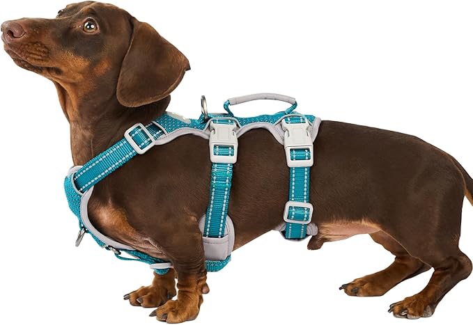 Huntboo Escape Proof Dog Harness, No Pull Reflective Harness with Lift Handle, Adjustable Pet Vest with Front and Back Leash Clips for Small Medium Large Dogs Walking Hiking Training (Teal,L)