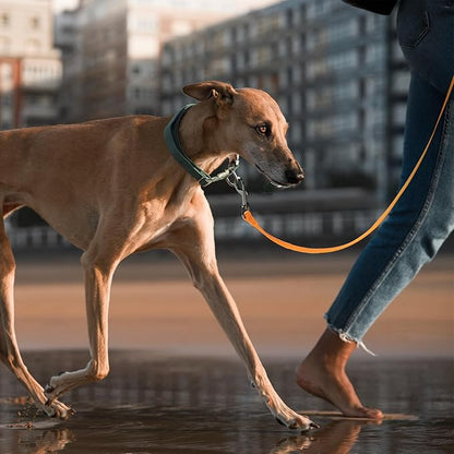 Wolfone Long Line Dog Leash with Padded Handle Orange 3m Training Leashes Reflective Leads for Dogs Outside