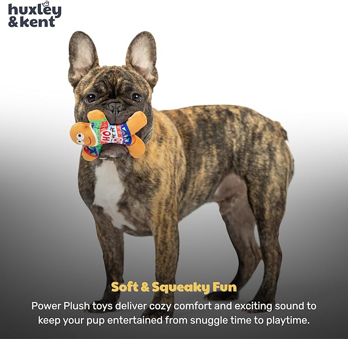 Huxley & Kent Funny Dog Toy w/Squeaker – Holiday Power Plush Squeaky Dog Toys for Small Dogs – Durable Small Stuffed Animal for Indoor Play & Fetch - Tiny Tuff Ugly Sweater Party
