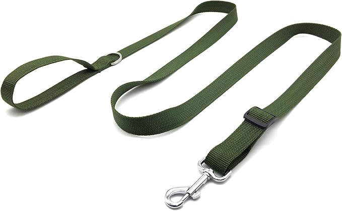 6FT Adjustable Dog Leash, Nylon Dog Leashes for Medium Large Dogs (Green)
