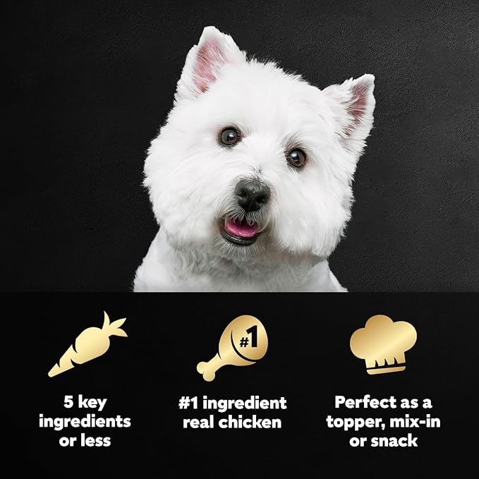 Cesar Simply Crafted Adult Wet Dog Food Toppers for Dry Food, Chicken, Sweet Potato, Apple, Barley & Spinach, 1.3 oz., 10 Count