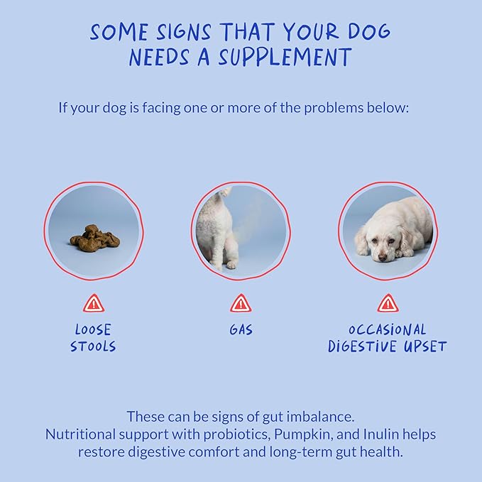 Probiotics for Dogs Digestive Health - Support Gut Health, Diarrhea, Gas, & Seasonal Allergies - with Honey, Pumpkin and Prebiotics for Digestive Support, Bad Dog Breath & Constipation