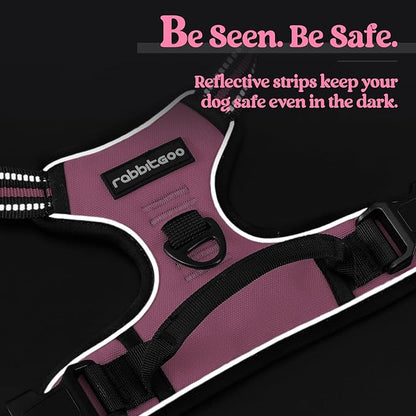 rabbitgoo Dog Harness No Pull with 2 Leash Clips, Adjustable Soft Padded, Reflective Oxford No Choke Pet Vest with Easy Control Handle for Small Dogs, Pink, S