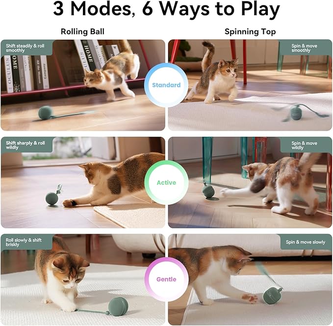 Hoochii 2 in 1 Interactive Cat Toys for Indoor Cats - Wicked Ball Duo2 Automatic Cat Toy, Rolling Ball & Spinning Top, Electric Cat Toy Balls with Chirping Sounds & Speedy Tail, Moving Kitten Toys