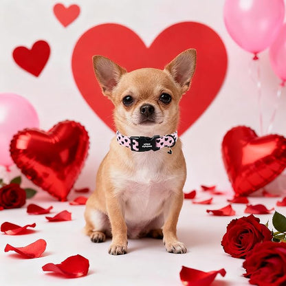 Unique Style Paws Valentine Dog Collar Plastic Buckle with Pendant Black Pink Love Heart Cotton Puppy Collars for Small Medium Large Dogs