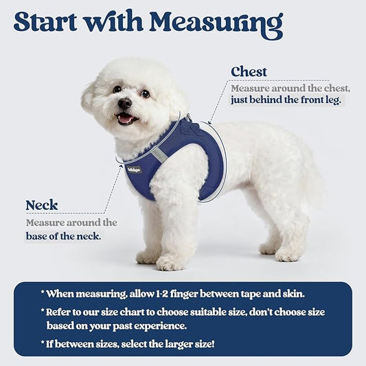 rabbitgoo Dog Harness Small Medium Sized and Leash Set, Step in Soft Light Puppy Vest, Breathable Mesh Pet Harness, Reflective for Safe Outdoor Walking, Navy Blue L