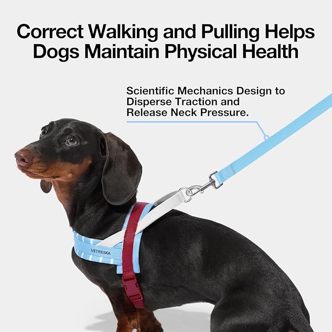 VETRESKA Dog Harness Medium Sized Dog No Pull, Adjustable No Choke Dog Vest, Easy Control & Walk Harness for Large Size Dogs, Pet Vest Harness with Heavy Duty Anti-Tangle Dog Leash, Misty Melo M
