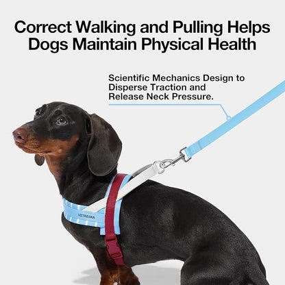 VETRESKA Dog Harness Medium Sized Dog No Pull, Adjustable No Choke Dog Vest, Easy Control & Walk Harness for Large Size Dogs, Pet Vest Harness with Heavy Duty Anti-Tangle Dog Leash, Misty Melo M