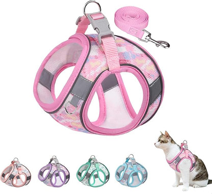Step in Mesh Dog Harness & Leash Set - Breathable Air Mesh, Reflective, Escape Proof - No Choke, Lightweight - XXS (Neck:8.5"-9.5", Chest:10"-11.5"), Rose Red
