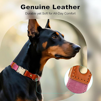 Plutus Pet Genuine Leather & Hemp Dog Collar – Adjustable Heavy Duty Pet Collar with Quick Release Metal Buckle, Soft & Stylish for Puppy and Small, Medium, Large Dogs (Pink, S)