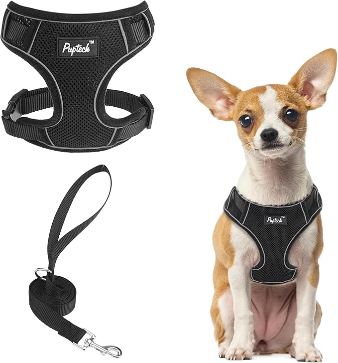 PUPTECK Small Dog Harness and Leash Set, No Pull Adjustable Puppy Cat Harness, Reflective Soft Mesh Pet Vest Small Sized, Black, XS
