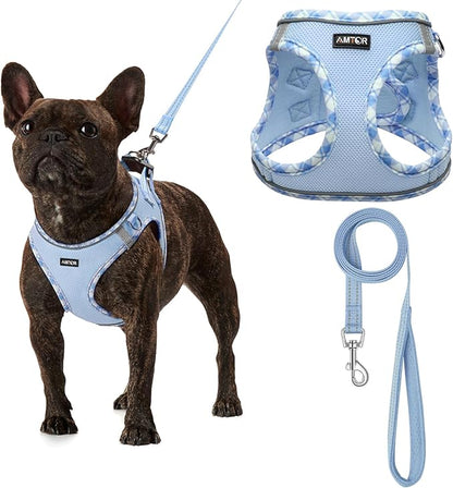 AMTOR Small Dog Harness with Leash Set, No Escape Easy Walk Puppy Harnesses for Training Walking, Step-in Reflective Soft Dogs Vest for XS S Medium Extra-Small Large Sized Dog(L Size,Blue/White)