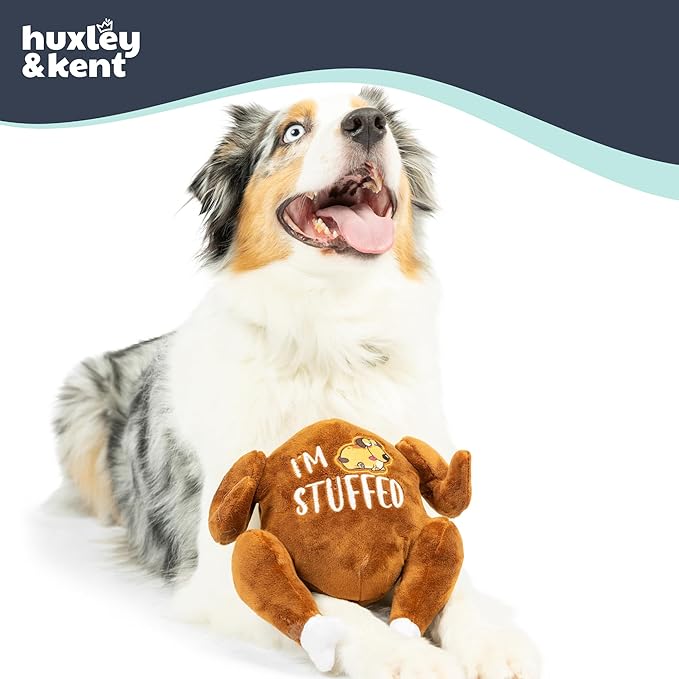Huxley & Kent Funny Dog Toy w/Squeaker – Thanksgiving Fall Power Plush Squeaky Dog Toys for Small, Medium & Large Dogs – Soft Stuffed Animal for Indoor Play & Fetch - I'm Stuffed Turkey, Small