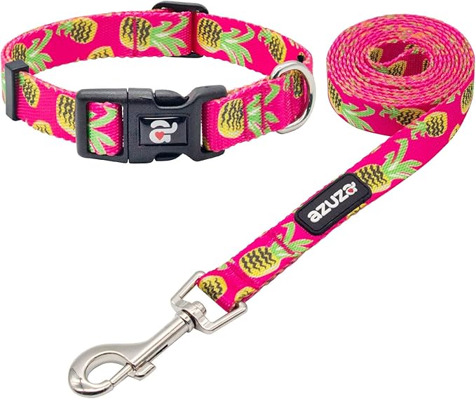 azuza Dog Collar and Leash Set, Pineapple Patterns on Nylon Collar and Matching Leash, Large Dog Collar for Large Dogs
