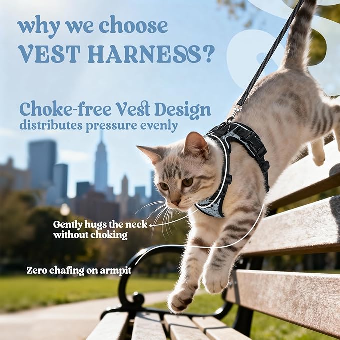 rabbitgoo Cat Harness and Leash for Walking, Escape Proof Soft Adjustable Vest Harnesses for Cats, Easy Control Breathable Reflective Strips Jacket, Doodle Gray,M