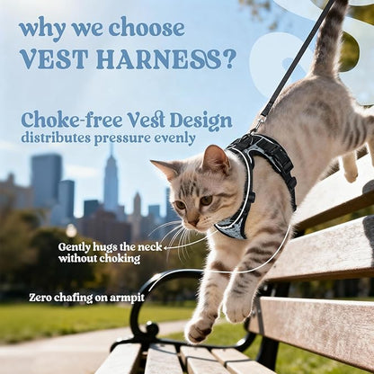 rabbitgoo Cat Harness and Leash for Walking, Escape Proof Soft Adjustable Vest Harnesses for Cats, Easy Control Breathable Reflective Strips Jacket, Doodle Gray,M