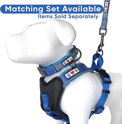 Pawtitas 6 FT Padded Dog Leash with Comfortable Neoprene Padding Handle - Blue Lead | Medium Reflective Dog Leash with Highly Reflective Band Perfect for Medium and Large Dogs and Puppies.