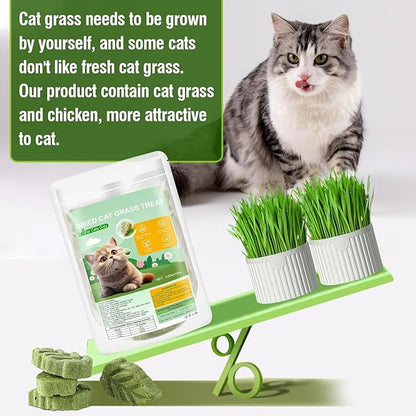 Psitofre Cat Grass Teething Sticks, 3.5oz Freezed Drying Cat Grass Treats, Cats Snacks for Hairball Removal and Dental Care