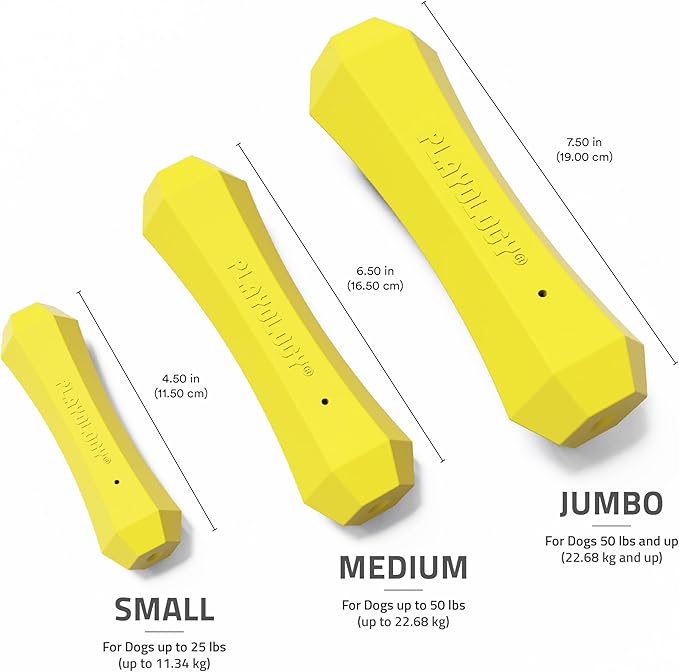 Playology Dog Toys | Durable Squeaky Chew Stick for Dogs | Jumbo Chicken Scented Toy - Easy to Clean and Made from Non Toxic Materials