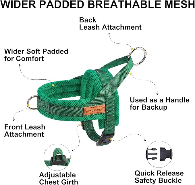 BEAUTYZOO Dog Harness for Small Dogs, No Pull Dog Harness and Leash Set, Soft Escape Proof Puppy Vest Harness with Handle, Reflective Lightweight Step in Harness for Girl Boy Dogs, Green XS