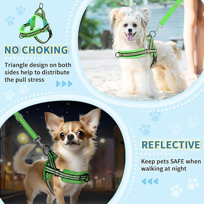 Lukovee No Pull Dog Harness and Leash Set, Soft Padded Small Dog Harness, Neck & Chest Adjustable Reflective Vest Puppy Harness with 4ft Lightweight Anti-Twist Dog Leash for Small Dogs (XXS, Green)