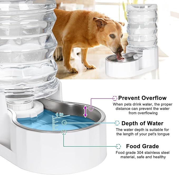 RIZZARI Automatic Gravity Pet Dispenser: 6.5L Large Capacity -No Power Needed -Stainless Steel with Triple Filter & Brush for Medium Dogs -Multiple Pets - Busy Pet Owners - Living Room -Kennel