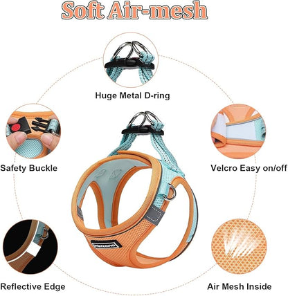 Mercano Soft Mesh Dog Harness and Leash Set, No-Chock Step-in Reflective Breathable Lightweight Easy Walk Vest Harnesses with Safety Buckle for Small Dogs, Cats (XS, Orange Blue)