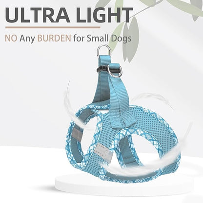 PUPTECK Dog Harness and Leash Set for Small Medium Dogs No Pull Step-in Soft Mesh Puppy Cat Vest Harnesses Reflective at Night, Sky Blue, L