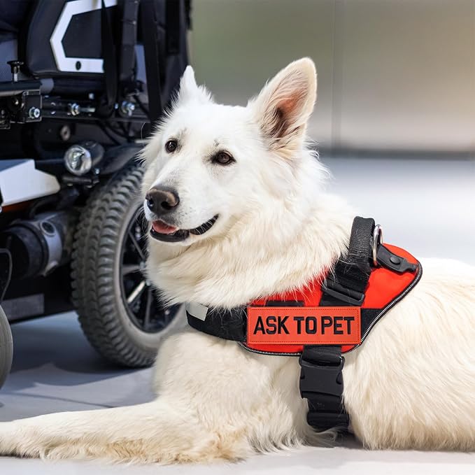 FITZNORA Embroidered Ask to Pet Patches, 2 Pack Clear Sign with Hook and Loop Pieces, Easy to Read Tabs for Dog Vest Harness Collar, 4.7 x 1.5 inches
