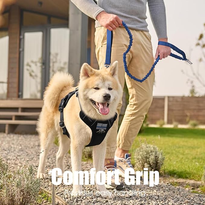 BUMBIN 6Ft Dog Leash - Large Dogs, Bungee Leash with 2 Handles, Heavy Duty, No Pull Shock Absorbing, Deep Blue