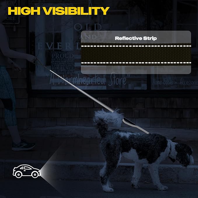 Fida 5 FT Heavy Duty Dog Leash with 2 Comfortable Padded Handles, Traffic Handle & Advanced Easy Snap Hook, Reflective Walking Lead for Large, Medium & Small Breed Dogs, Brown