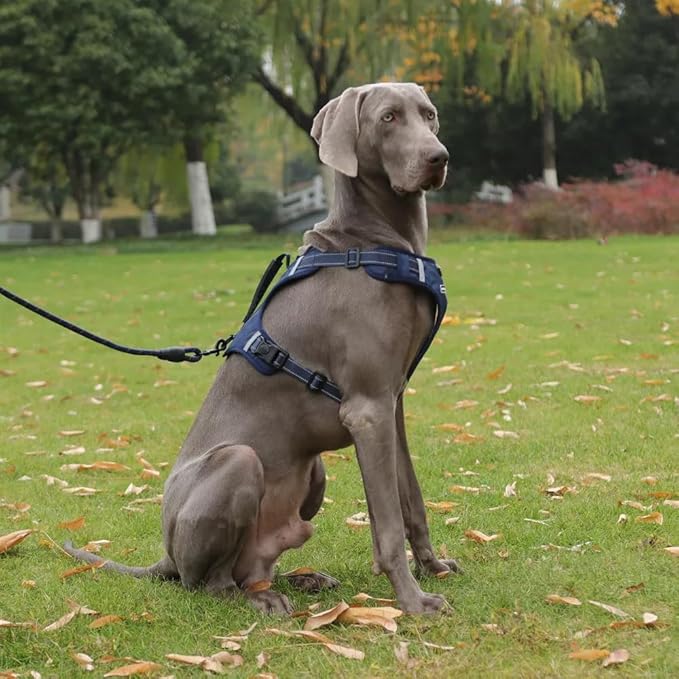 Dog Harness No Pull Adjustable Reflective,for Medium and Large Small Dog with Leash 59.06in (Dark Blue, L)