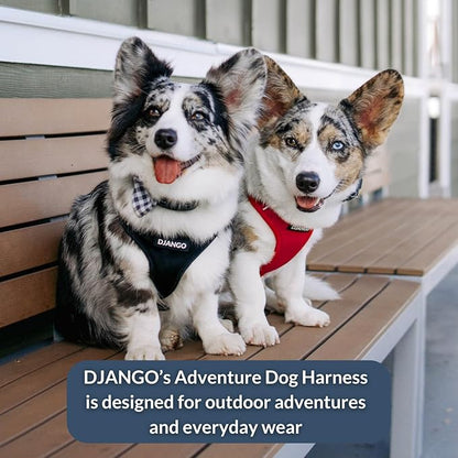 DJANGO Adventure Dog Harness - Stylish and Durable Large Dog Harness for Outdoor Adventures and Everyday Wear - Red Neoprene Adjustable Harness for Dogs with Reflective Piping, Solid Brass D-Ring