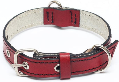 Premium Leather Collars with Stainless Steel Buckles (9"-12", Red)