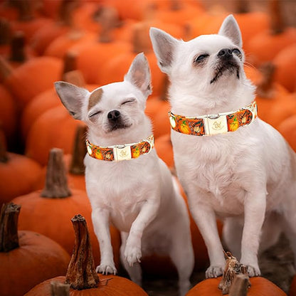 Elegant little tail Halloween Dog Collar, Pumpkin with Flower Print Fall Pet Collars Cotton Soft Sturdy Puppy Collars Holiday Female Adjustable Collar for Medium Dogs