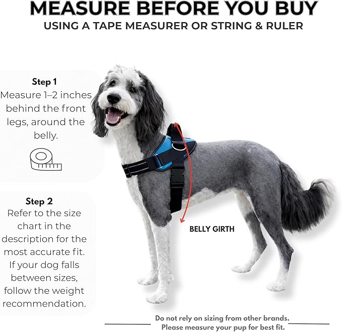 ShawnCo Essential Dog Harness, No-Pull Pet Vest with 3 Leash Clips, No Choke, Reflective, Adjustable and Padded, for Easy Walking and Training for Small, Medium and Large Dogs (Military Camo, S)