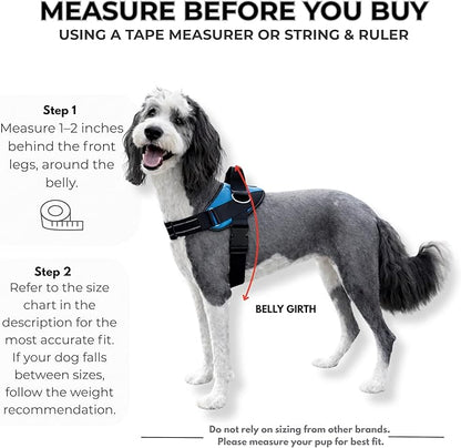 ShawnCo Essential Dog Harness, No-Pull Pet Vest with 3 Leash Clips, No Choke, Reflective, Adjustable and Padded, for Easy Walking and Training for Small, Medium and Large Dogs (Military Camo, S)