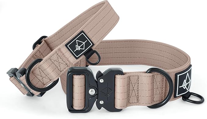 Made to ROAM Premium Dog Collar - Adjustable Heavy Duty Nylon Collar with Quick-Release Metal Buckle (Utah Glow, Classic Size 2)