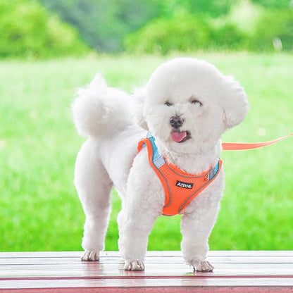 AIITLE Escape Proof Dog Harness - Step in Adjustable Dog Harness No Choke Over with Breathable Mesh and Quick-Release Buckle for All Weather- Outdoor Walking, Training for Medium Dogs Orange XL