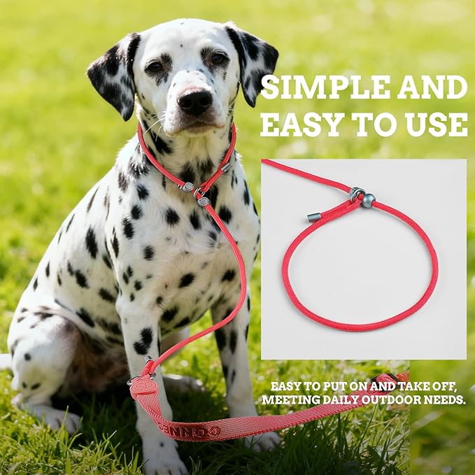 EVERKING Slip Lead Dog Leash,No-Pull Slip Training Leash and Collar,6FT Nylon Material Heavy-Duty and Durable,with Comfortable Padded Handle,Suitable for All Dogs (Red(4.9-5.9FT-Metal Buckle))