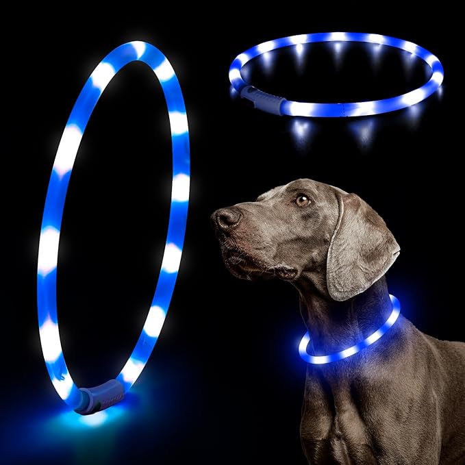 HIGO Light Up Dog Collar, Lightweight LED Dog Collar for Dogs Cats, USB Rechargeable LED Dog Necklace Light Makes Your Beloved Dogs Glow in The Dark (Blue-Silicone)