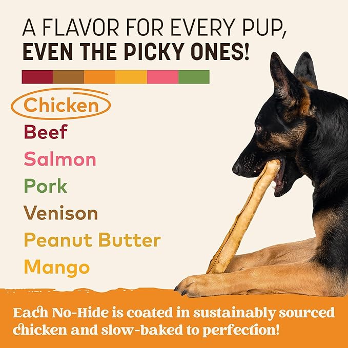 Earth Animal No Hide Chews - Long Lasting Rawhide Free Large Dog Chews Rolls, Chicken - 3 Count Value Pack